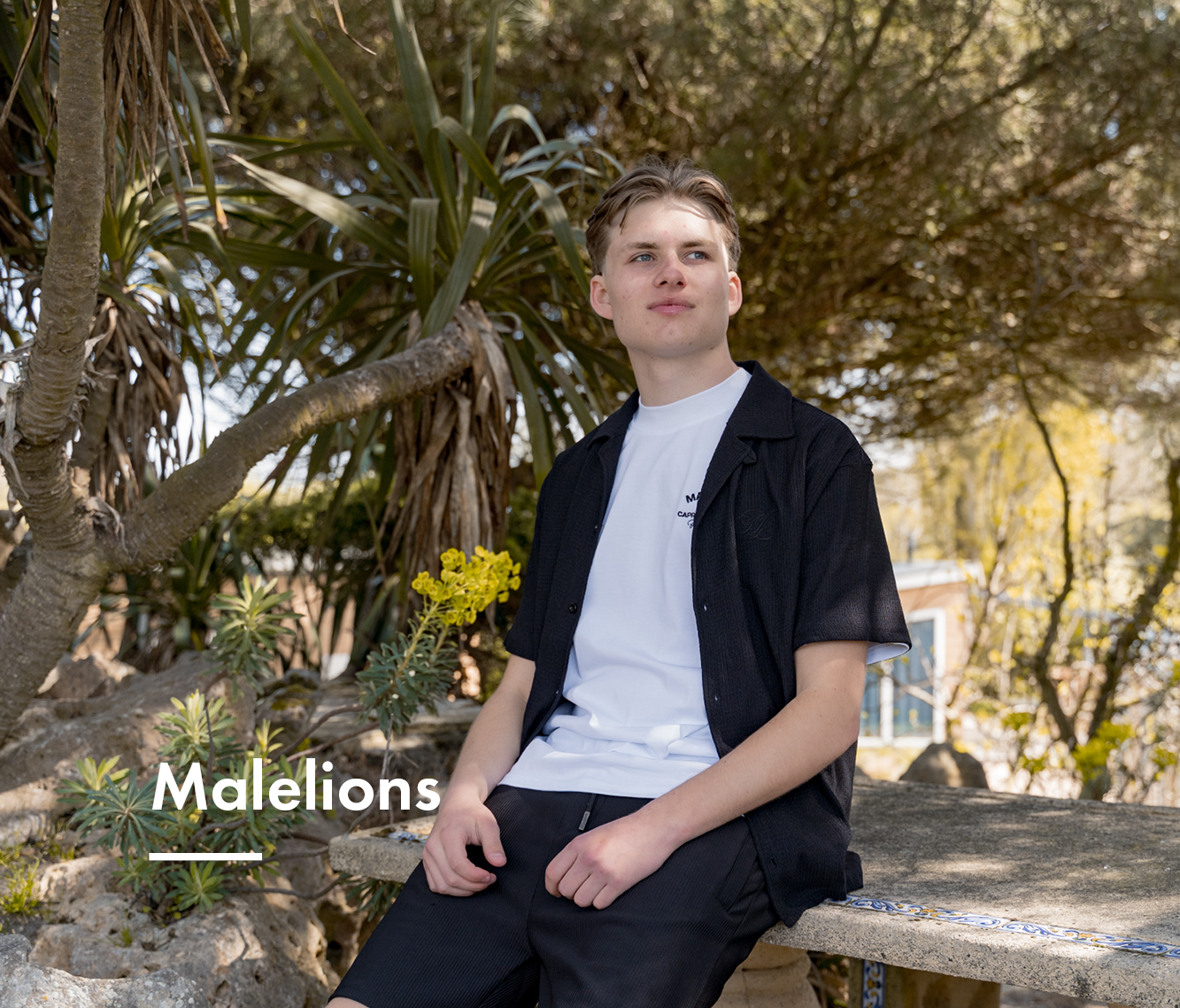 Malelions